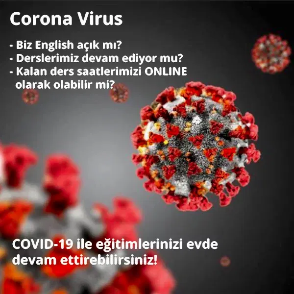 Corona Virus